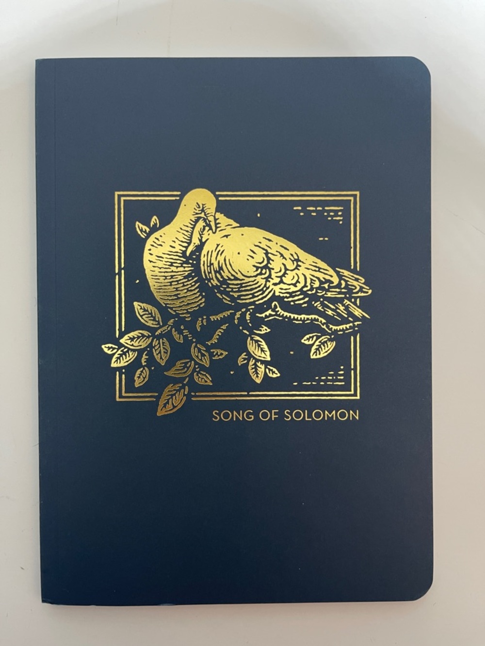 3/$10 Song of Solomon NET Abide Interactive Journal in navy with Gold Foil Bird